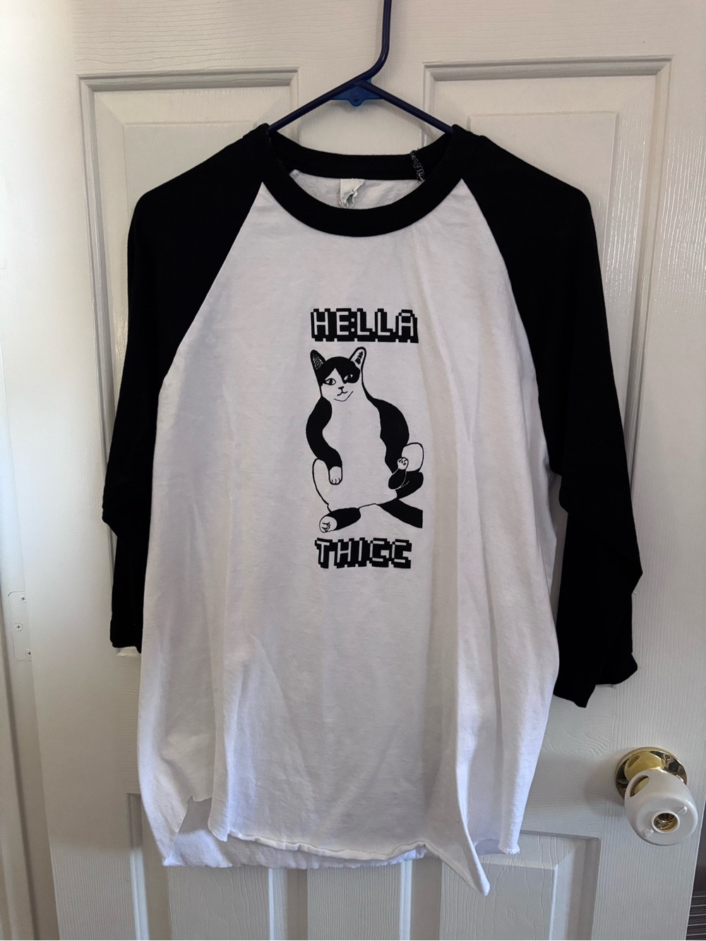 Hella Thicc Cat Baseball Tee